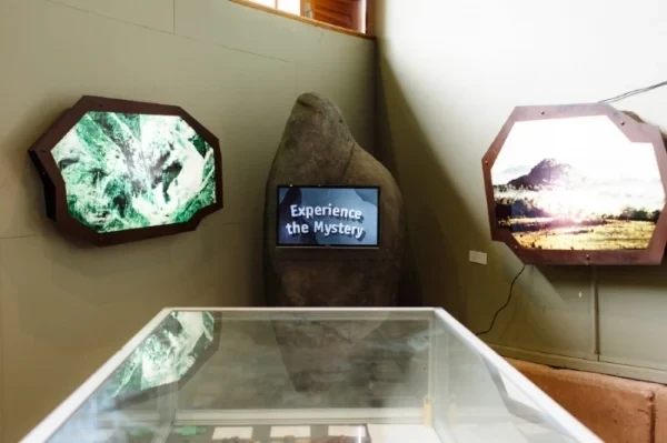 Amy Spiers, Experience the Mystery , video installation in Hanging Rock Discovery Centre. Videography: Zoe Scoglio. Photo: John Possemato.