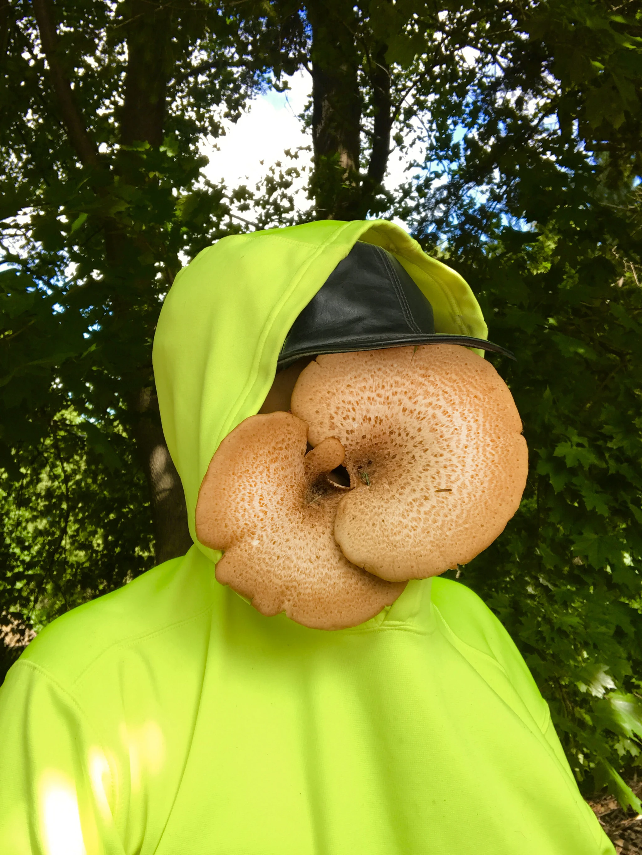 Vick Quezada, 2020Female to Fungi (FtF)Digital PhotographyCerioporus squamosus mushroom